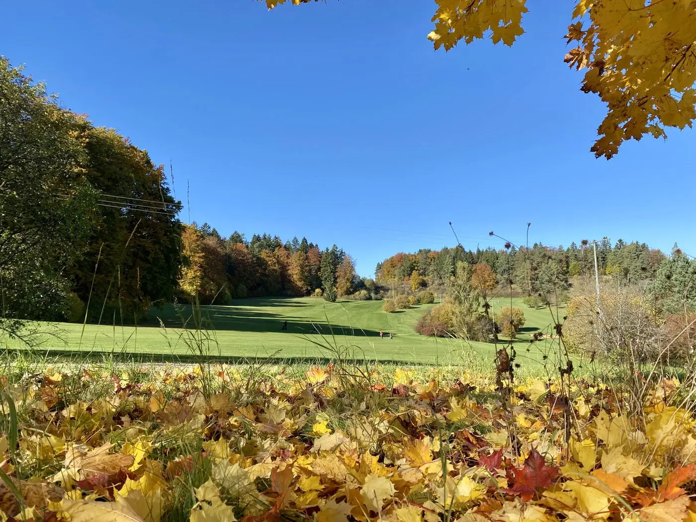 Autumn mood at Golfanlage Gerhelm