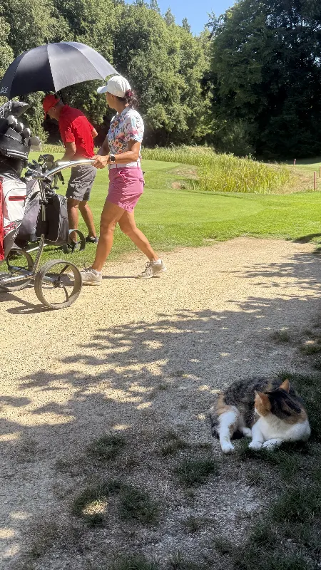 Tournament photo — 500% Golf Cup powered by Kärnten - 4th day of play: Golfanlage Gerhelm