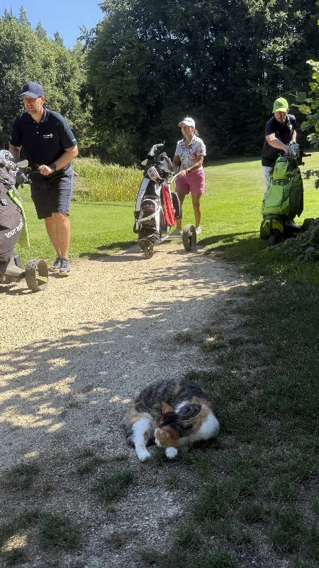 Turnierfoto — 500% Golf Cup powered by Kärnten - 4. Spieltag: Golfanlage Gerhelm